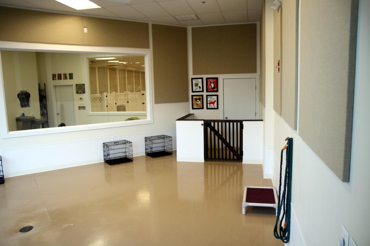 doggy daycare playroom with two small black crates 