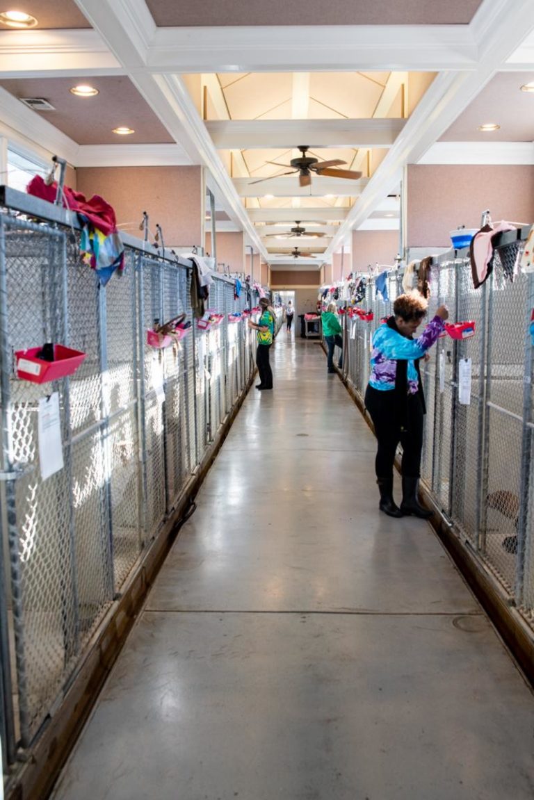 Dog Boarding in Leesburg, VA Old Mill Boarding Kennel