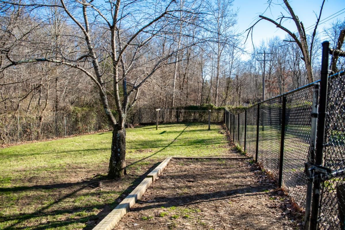 outside area for dogs at old mill kennel in leesburg va 