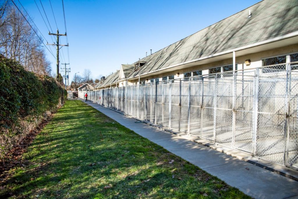 Old Mill Boarding Kennel & Grooming in Leesburg, VA