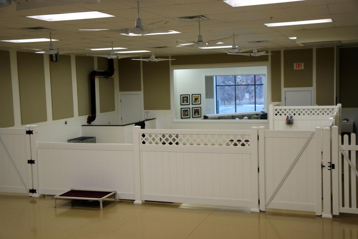 doggy daycare playroom with white fence at old mill boarding kennel 