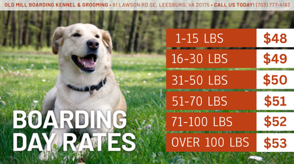 old mill boarding kennel and grooming day rates for dogs 