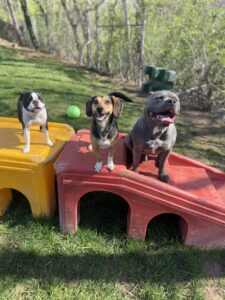 Group Play